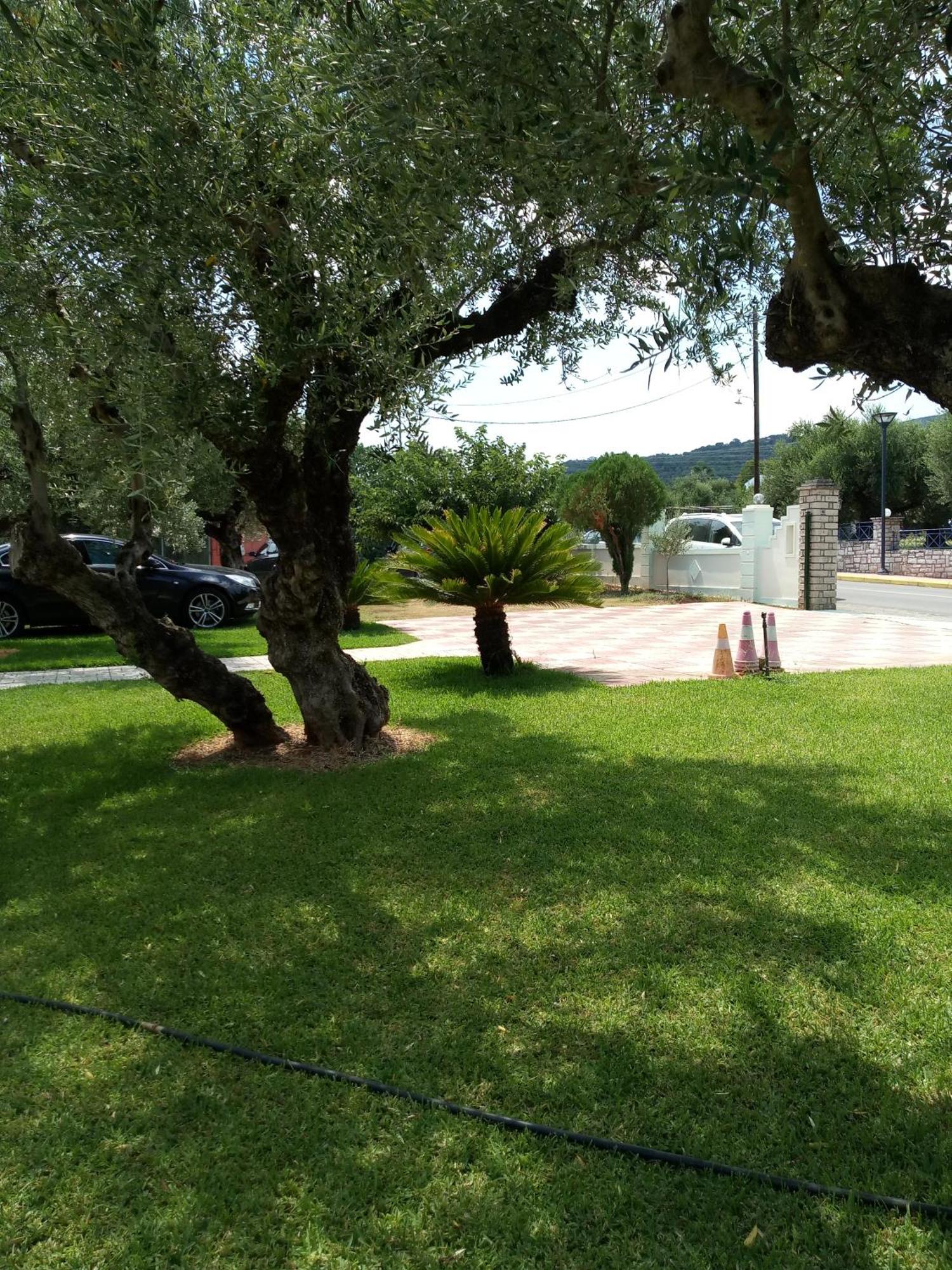 Panorama Ferienhaus
